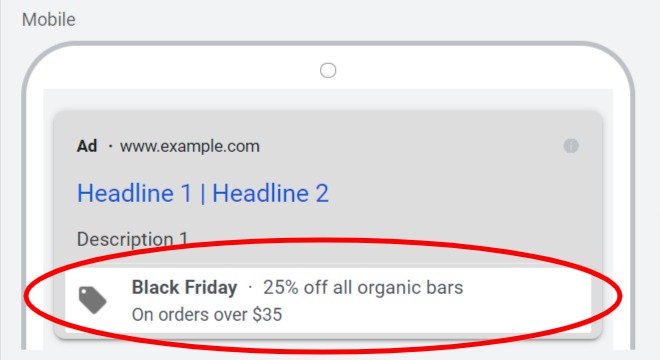 Black-friday-google-ads-promotions-extension-example